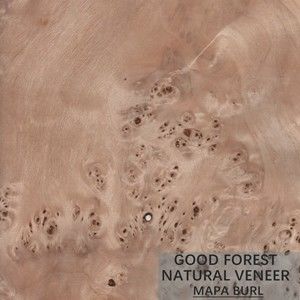 Peuplier de Burl Wood Veneer Natural White d'arbre stratifié excellent