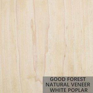 Peuplier de Burl Wood Veneer Natural White d'arbre stratifié excellent