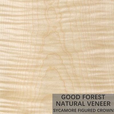 Le bois figure par sycomore naturel plaquent 0.3mm - 0.5mm pour les portes intérieures