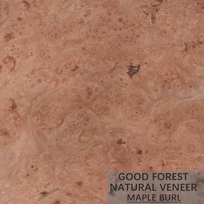 Les oiseaux d'hôtel observent l'érable que le bois plaquent particulièrement naturel artificiel