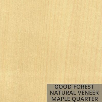 Les oiseaux d'hôtel observent l'érable que le bois plaquent particulièrement naturel artificiel