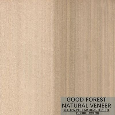 Excellente double couleur de Mappa Tulip Natural Wood Veneer Boxwood