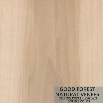 Excellente double couleur de Mappa Tulip Natural Wood Veneer Boxwood