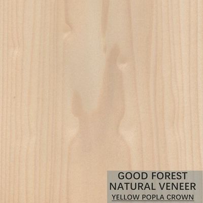 Excellente double couleur de Mappa Tulip Natural Wood Veneer Boxwood