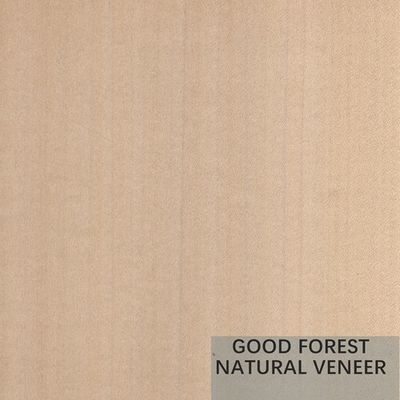 Excellente double couleur de Mappa Tulip Natural Wood Veneer Boxwood