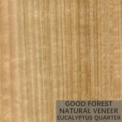 Le bois naturel d'eucalyptus plaquent le contreplaqué vertical populaire de placage de grain