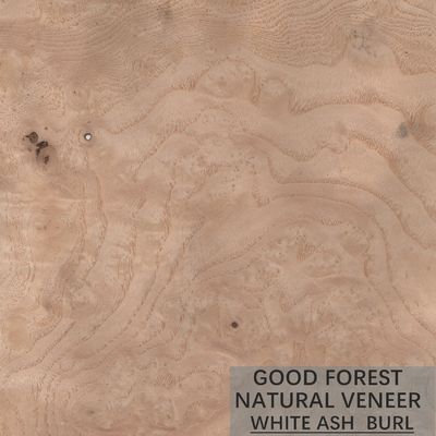 Grain naturel d'ASH Wood Veneer Sheets Special adapté aux besoins du client pour des portes
