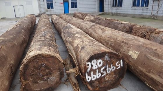 Placage en bois de Santos palissandre laminé, grain de couronne, épaisseur personnalisable 0,15-1,8 mm, pour façade de meuble SZ-254C / 1010C / 1325C
