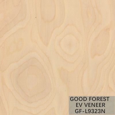 Le bois en bois machiné de racine d'arbre de placage plaquent couleur naturelle/teinte