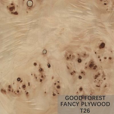 Placage adapté aux besoins du client de canal radiculaire de Burl Veneer Plywood Board Fancy