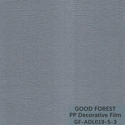 Le lézard décoratif adhésif Dermatoglyph de film de pp peut être processus aplati