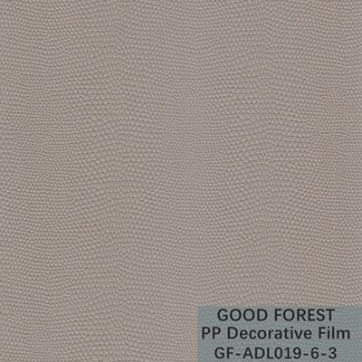 Le lézard décoratif adhésif Dermatoglyph de film de pp peut être processus aplati