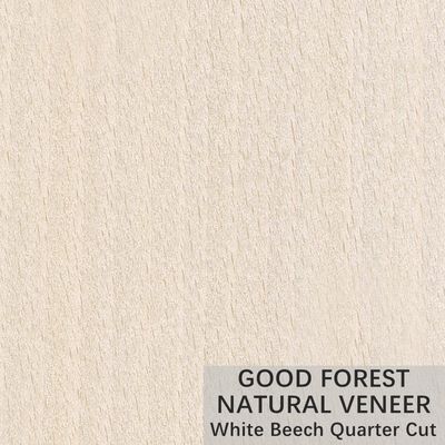 La couronne naturelle de placage en bois de hêtre blanc a coupé le service adapté aux besoins du client
