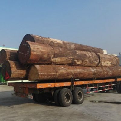 L'abricot blanc a machiné la tranche en bois du placage H86C a coupé des techniques pour le revêtement mural