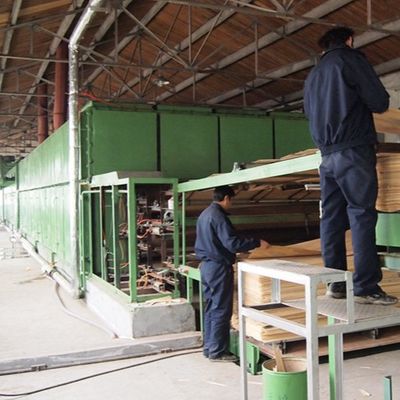 L'abricot blanc a machiné la tranche en bois du placage H86C a coupé des techniques pour le revêtement mural