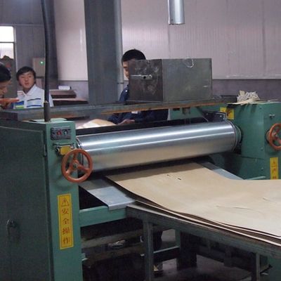 La décoration 3100mm d'OIN a machiné le placage en bois Wing Exotic Grain Grey Color peu commun