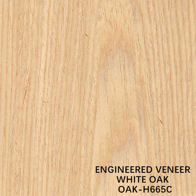 Le chêne blanc H665C a à plat coupé le placage en bois recomposé pour pour le visage/revêtement mural de Cabinet