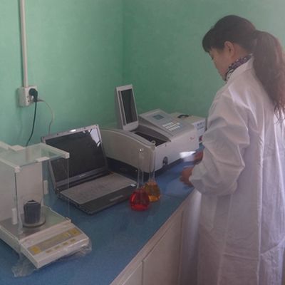 Nouveau design de placage de bois recon Wenge WSW-L6761N personnalisable 0,15-0,55 mm d'épaisseur pour la façade de porte intérieure