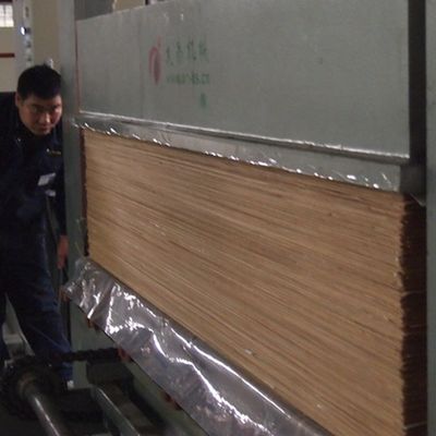 Façade en feuille de placage en bois de teck génétiquement modifié Panneau de couronne de grain de 0,55 mm d'épaisseur pour armoire