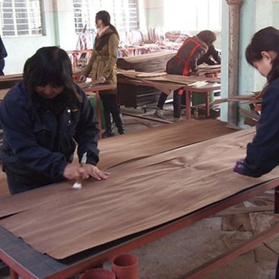 Grain rugueux spécial Fineline de la noix X937A de placage recomposé par fantaisie en bois d'ardoise de Cabinet de fabricant Iso de la Chine
