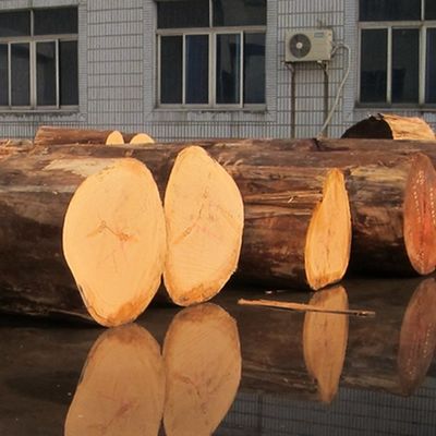 Épaisseur personnalisée 0,18-0,6 mm Veneer en bois d'ingénierie pour panneau mural