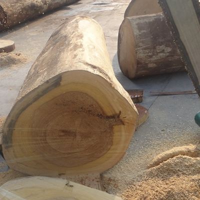 Fabriqué en bois fin d'une épaisseur de 0,18 à 0,6 mm pour la décoration d'un hôtel