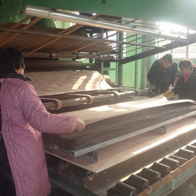 Taille foncée machinée 3100mm de Grey Color For Decoration Lengthened de grain Fineline droit de la noix H8536 de placage en bois d'ardoise