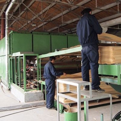 Veneer 3D - écologique, faible teneur en formaldéhyde 2500 * 640 mm pour la décoration intérieure 3DZM-L3.0