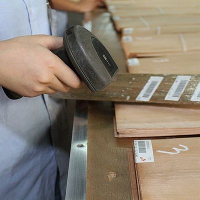 En bois massif, feuilles d'orme américain de qualité A pour la couronne coupée en quart de grain, couleur naturelle pour la porte 3200 mm vers le haut