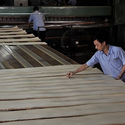 Faisceau de bois massif de chêne blanc américain tranché droit pour le panneau sophistiqué et placage teint épaisseur 0,45 mm
