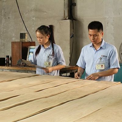 Le bois naturel américain d'érable plaquent qualité de l'épaisseur 0.5mm d'érable de l'oeil de l'oiseau la bonne pour les meubles et l'instrument de musique