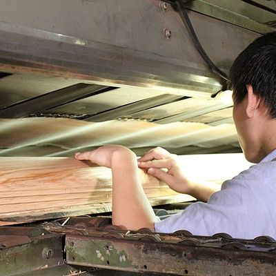 Ajouter de l'élégance à l'espace Panneaux de placage d'érable Ombres floculantes Manifestations de texture