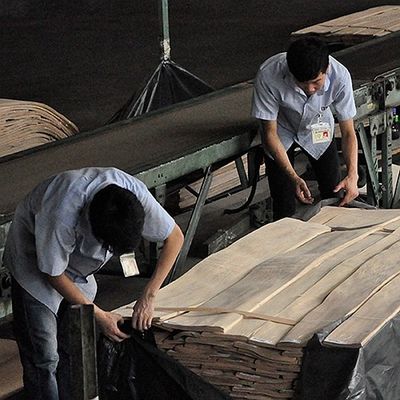 Le bois d'acajou naturel arrière tondu plaquent la fourche spéciale de 0.5mm pour la décoration d'hôtel