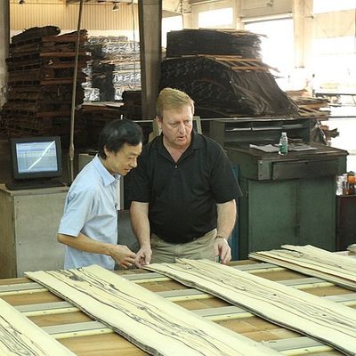 Le quart naturel de placage en bois de Koto a coupé la bonne capacité d'approvisionnement de grain droit spécial de flocon pour teindre le processus