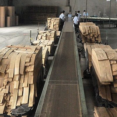 En bois massif, feuilles d'orme américain de qualité A pour la couronne coupée en quart de grain, couleur naturelle pour la porte 3200 mm vers le haut
