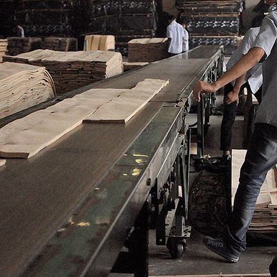 Le quart naturel de placage en bois de Koto a coupé la bonne capacité d'approvisionnement de grain droit spécial de flocon pour teindre le processus