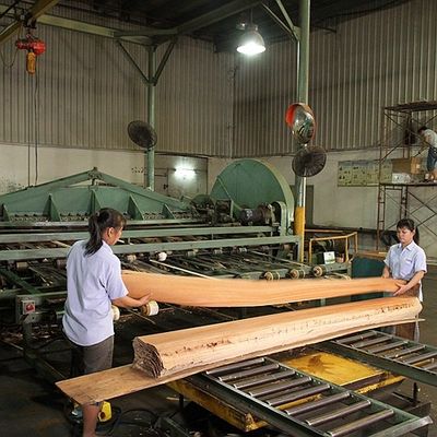 Prix blanc naturel de l'épaisseur 0.55mm d'Ash Veneer Wood Burl Grain d'hôtel bon de vente en gros de la Chine de décoration d'hôtel
