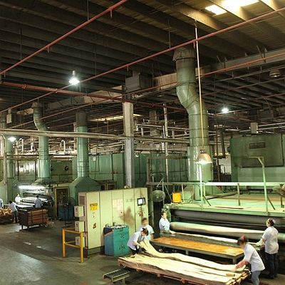 Le quart naturel américain de placage en bois de peuplier a coupé la double couleur pour la décoration