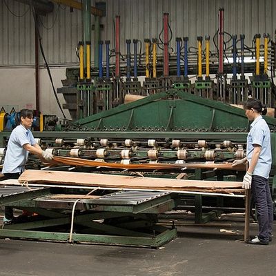 Le quart naturel américain de placage en bois de peuplier a coupé la double couleur pour la décoration