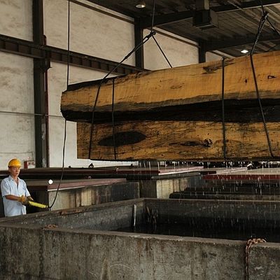 Le quart naturel américain de placage en bois de noix a coupé le grain droit pour les meubles de première qualité faisant le fabricant de FSC Chine