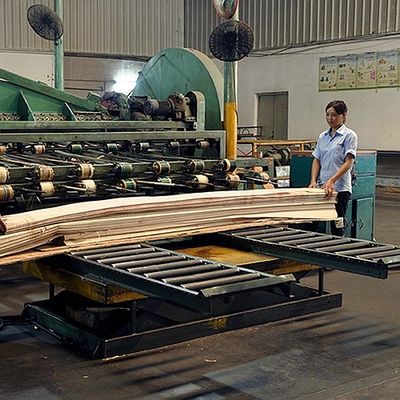 Le quart naturel de placage en bois de Koto de l'Afrique a coupé le grain droit que la bonne qualité pour le processus de teinture peut être adaptée aux besoins du client