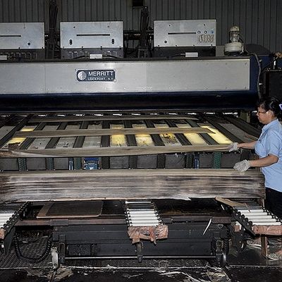 Le bois naturel américain de noix plaquent la couronne coupée plate a coupé le grain pour les meubles de première qualité faisant le fabricant de FSC Chine