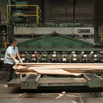 Le quart a coupé le placage naturel droit en bois de l'Afrique Sapele pour les visages et le parquet