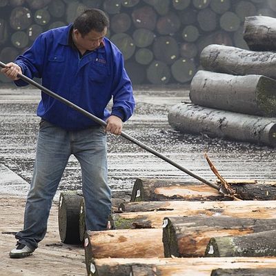 Fabriqué par l'homme Veneur de bois or Burl d'érable 640-1280mm G.MB-X8008 Retour en laine pour l'intérieur de la voiture