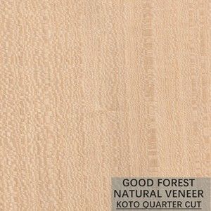 Placage en bois naturel de KOTO de flocon de grain populaire pour le processus de teinture