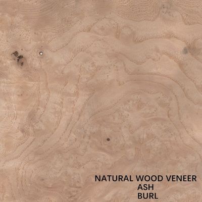 Prix blanc naturel de l'épaisseur 0.55mm d'Ash Veneer Wood Burl Grain d'hôtel bon de vente en gros de la Chine de décoration d'hôtel