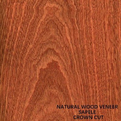 Le placage naturel de panneautage et en bois de l'Afrique Sapele de portes a à plat coupé la catégorie du grain D.C.A. de couronne