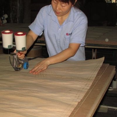 L'érable de fantaisie Burl Plywood/forces de défense principale/conseil de particules 2440/2745mm pour les portes intérieures évaluent le fabricant E0/E1/P1/P2