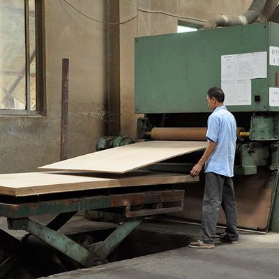 Forces de défense principale de Tulip Plywood Based/conseil bicolores de fantaisie de carton gris/particules pour le panneau de meubles