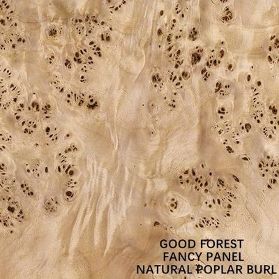 Le panneau de fantaisie a fait face à l'approvisionnement blanc naturel de la Chine de taille rallongé par 2440/2745mm de décoration de Burl Wood Veneer For Hotel de peuplier